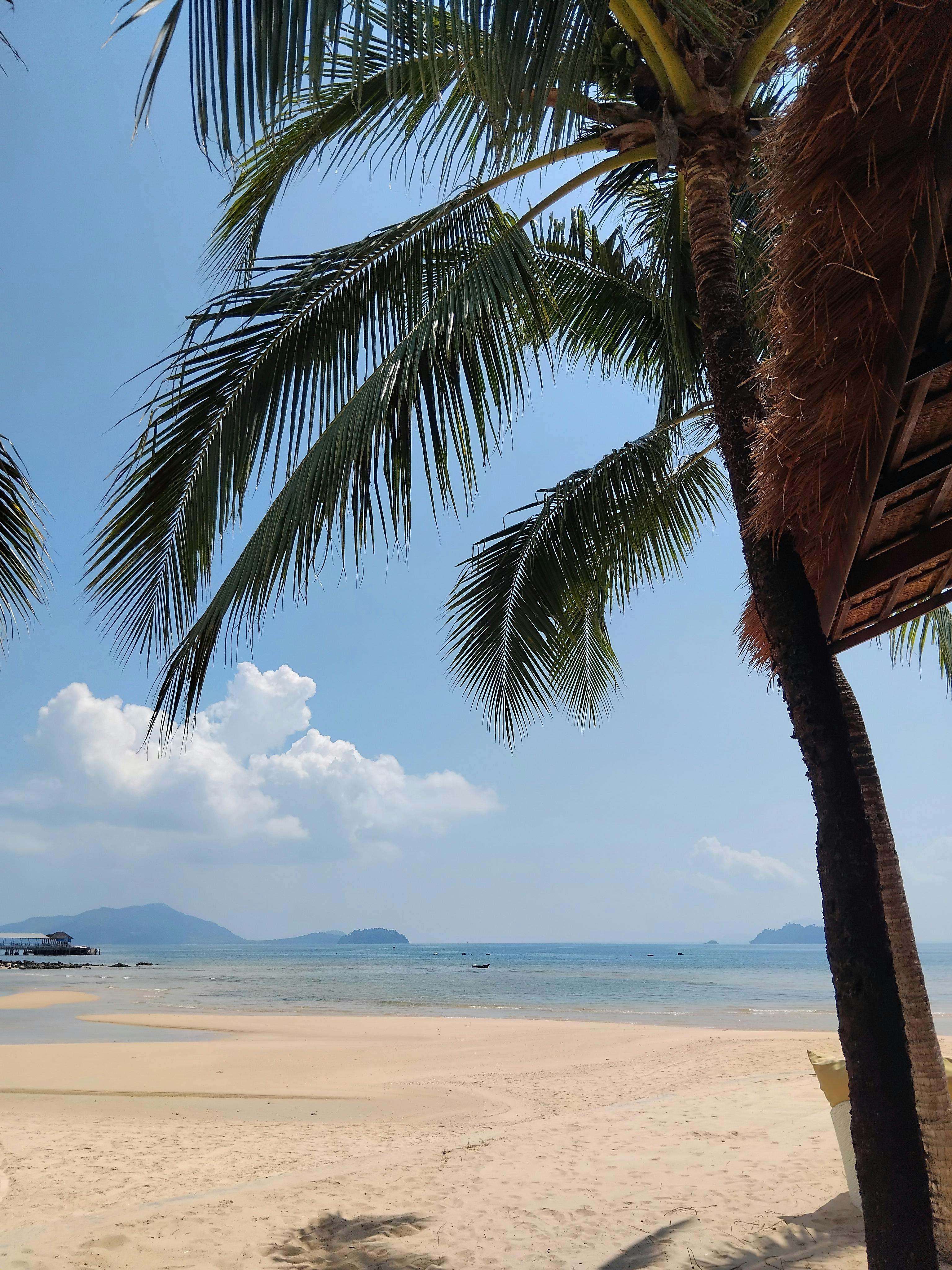 Bohol Countryside + Balicasag + Firefly Tour