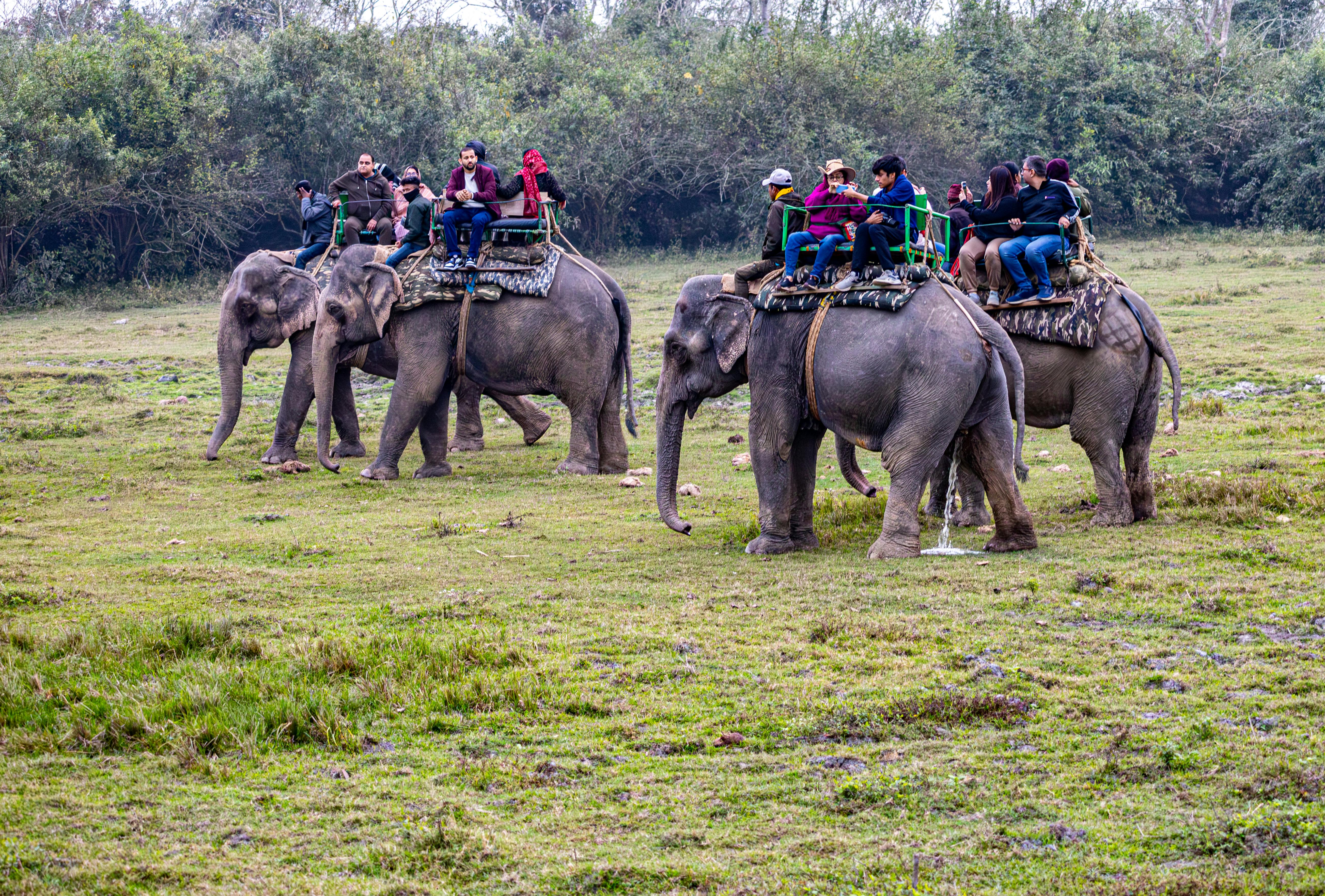 Cebu Safari Adventure Park Day Tour