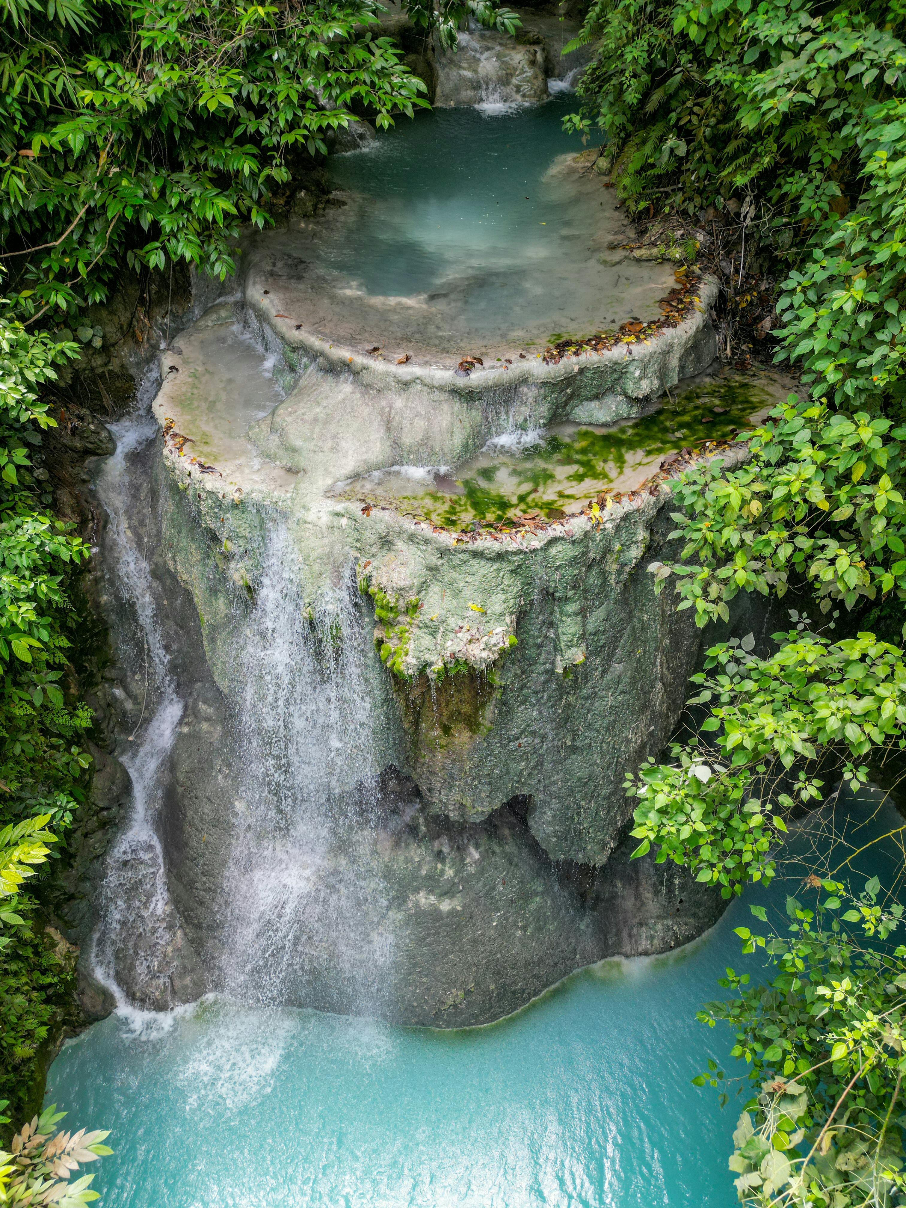 Moalboal Sardine Run + Sea Turtles + Kawasan Falls