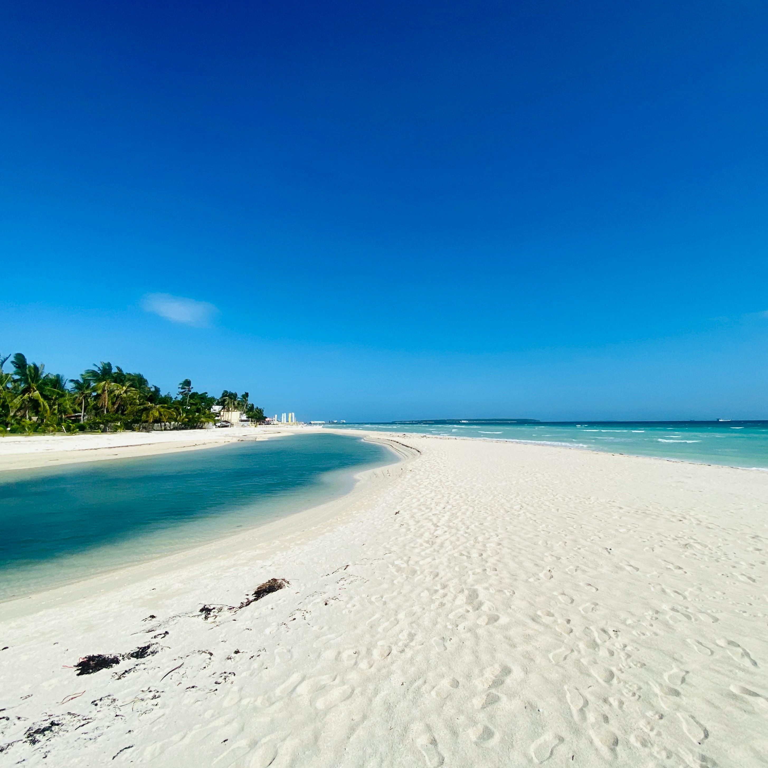 Siquijor Island Tour + Apo Island Snorkeling or Diving