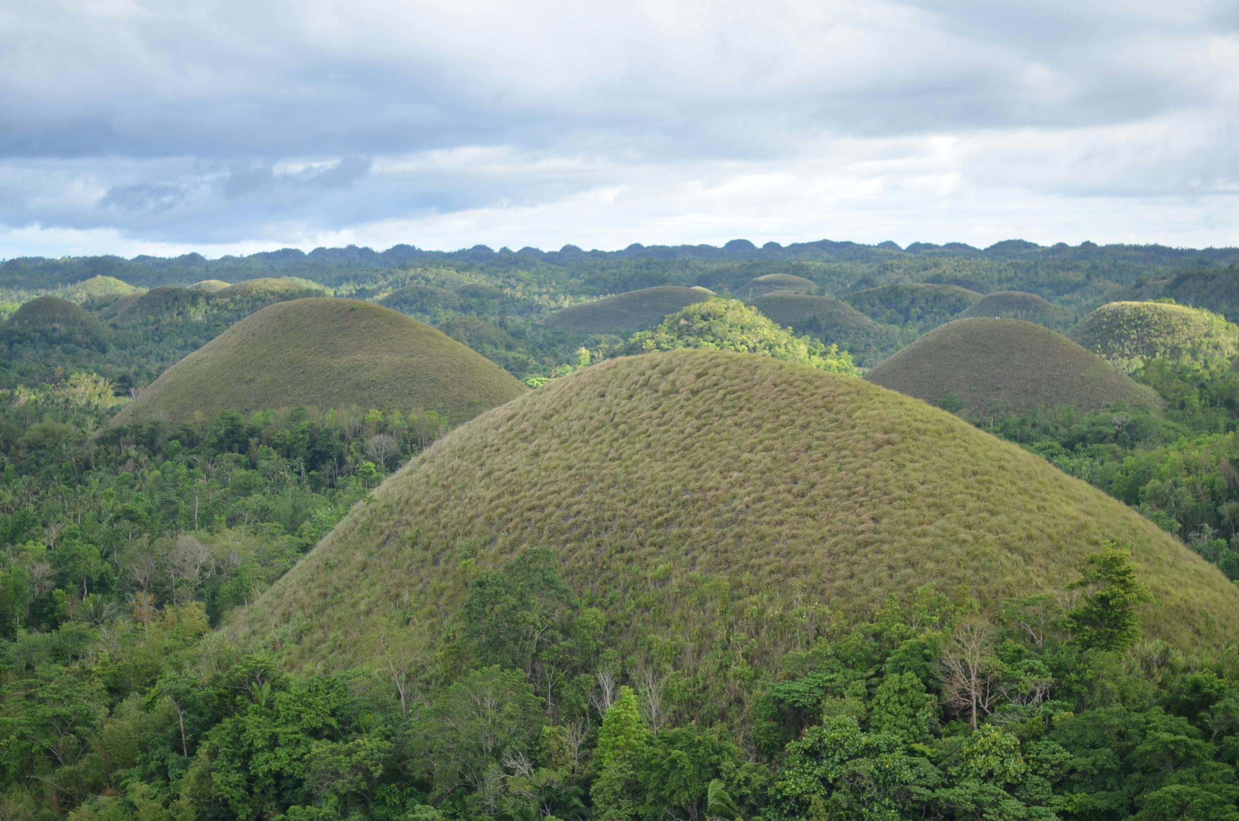 Real guest photo — Cebu Safari and nature tour by Cebu OK Travel