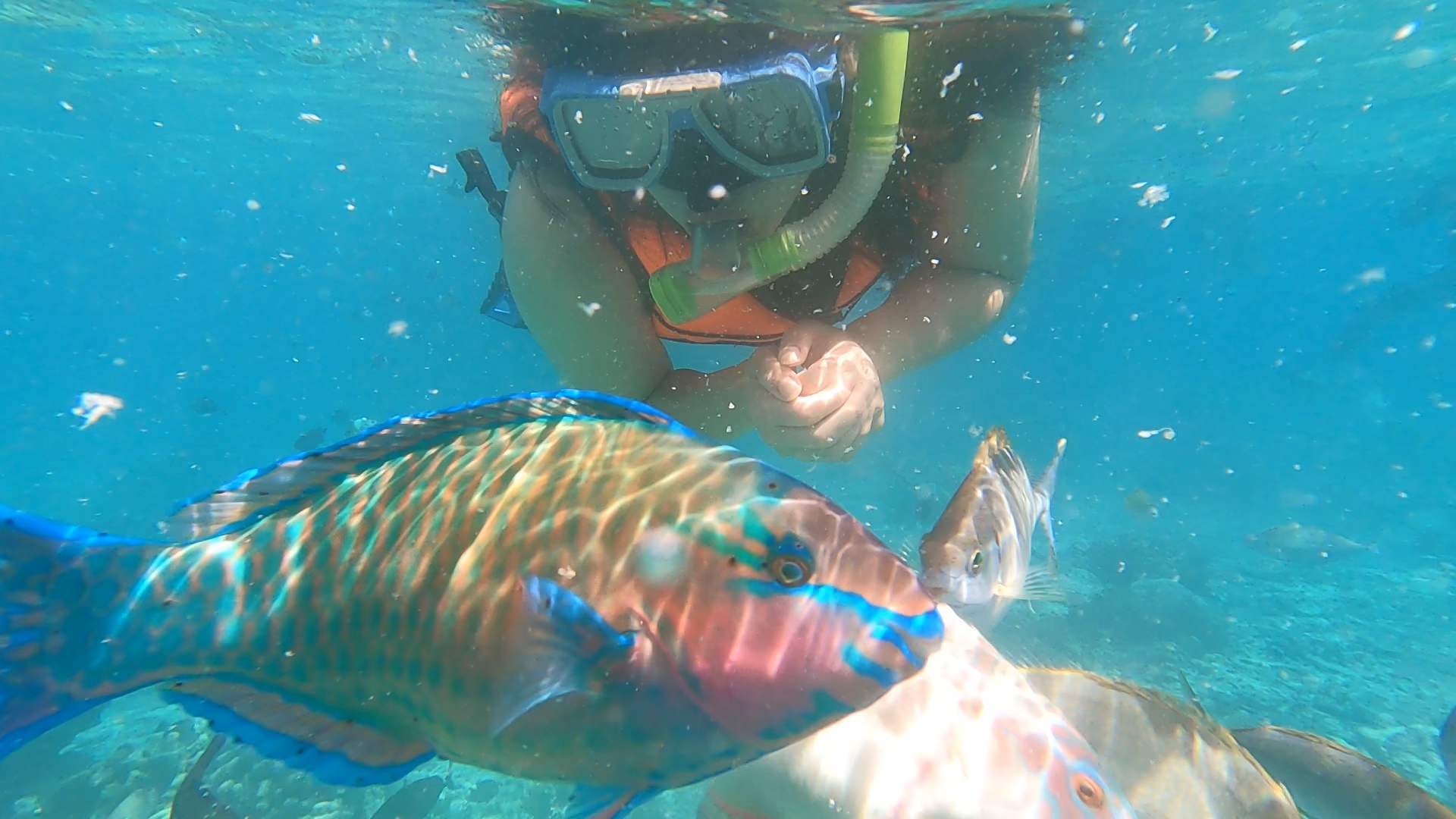 Guest photo — Mactan island hopping, Cebu