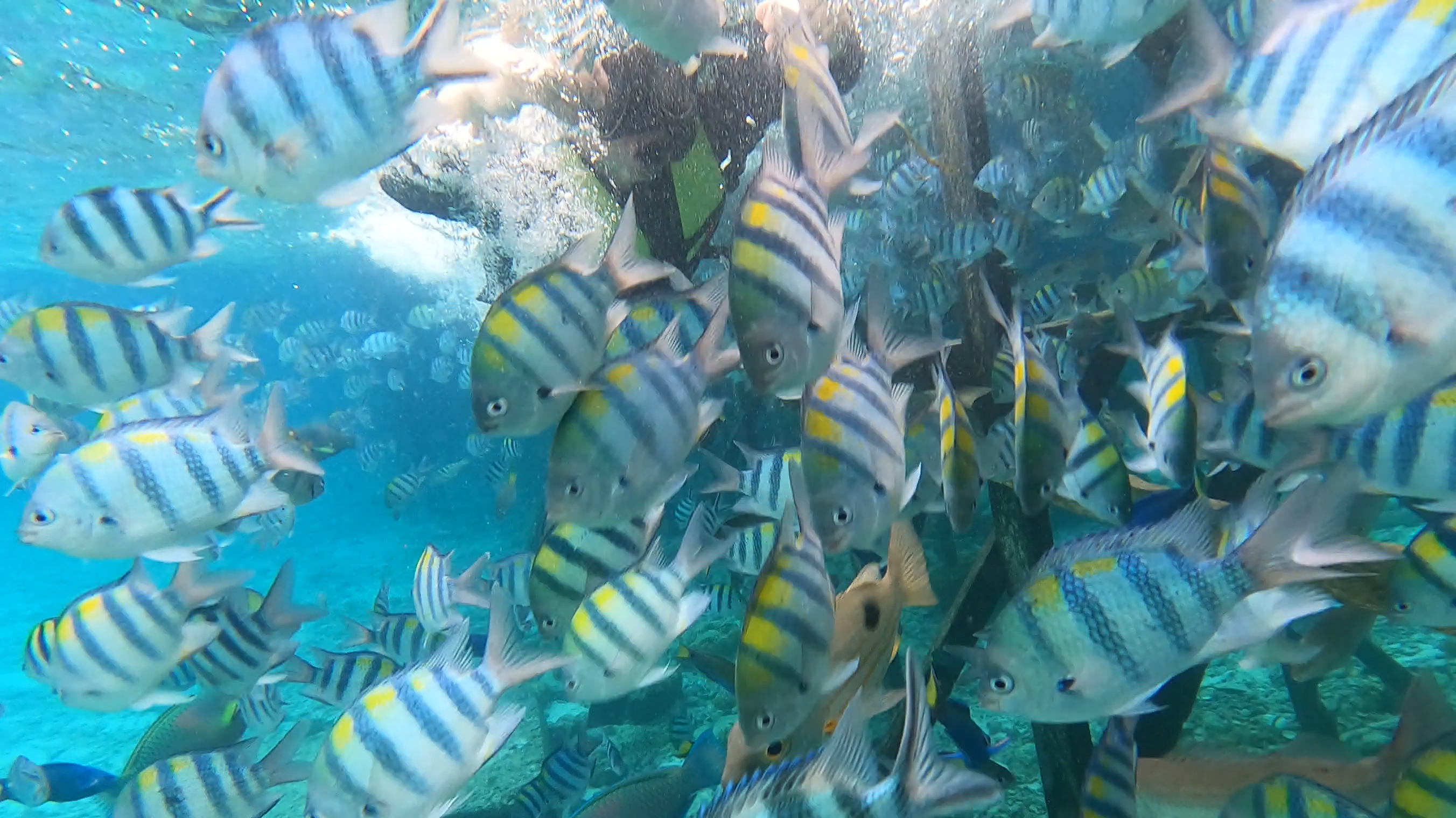 Guest photo — Mactan island hopping, Cebu