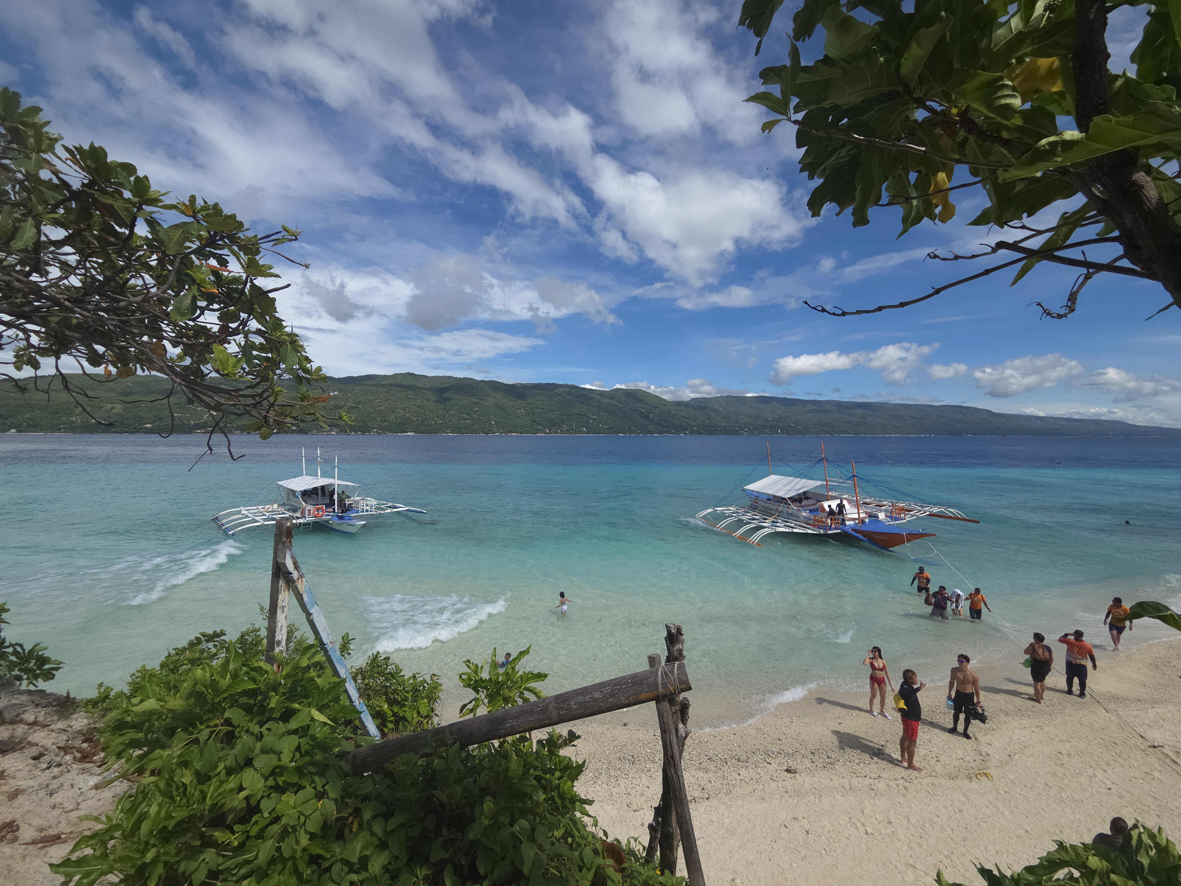 Real guest photo &mdash; private Oslob whale shark tour by Cebu OK Travel