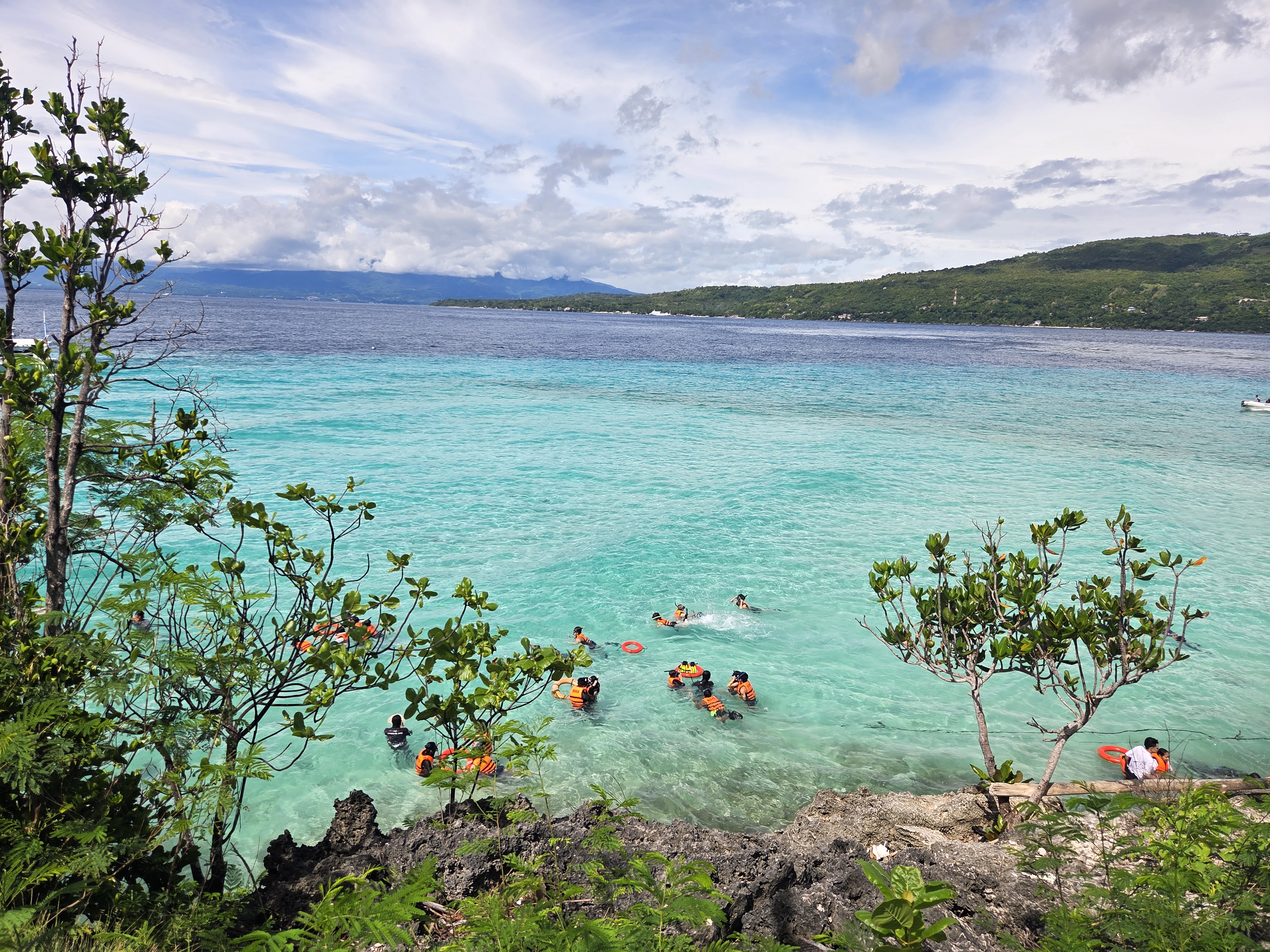 Real guest photo &mdash; private Oslob whale shark tour by Cebu OK Travel