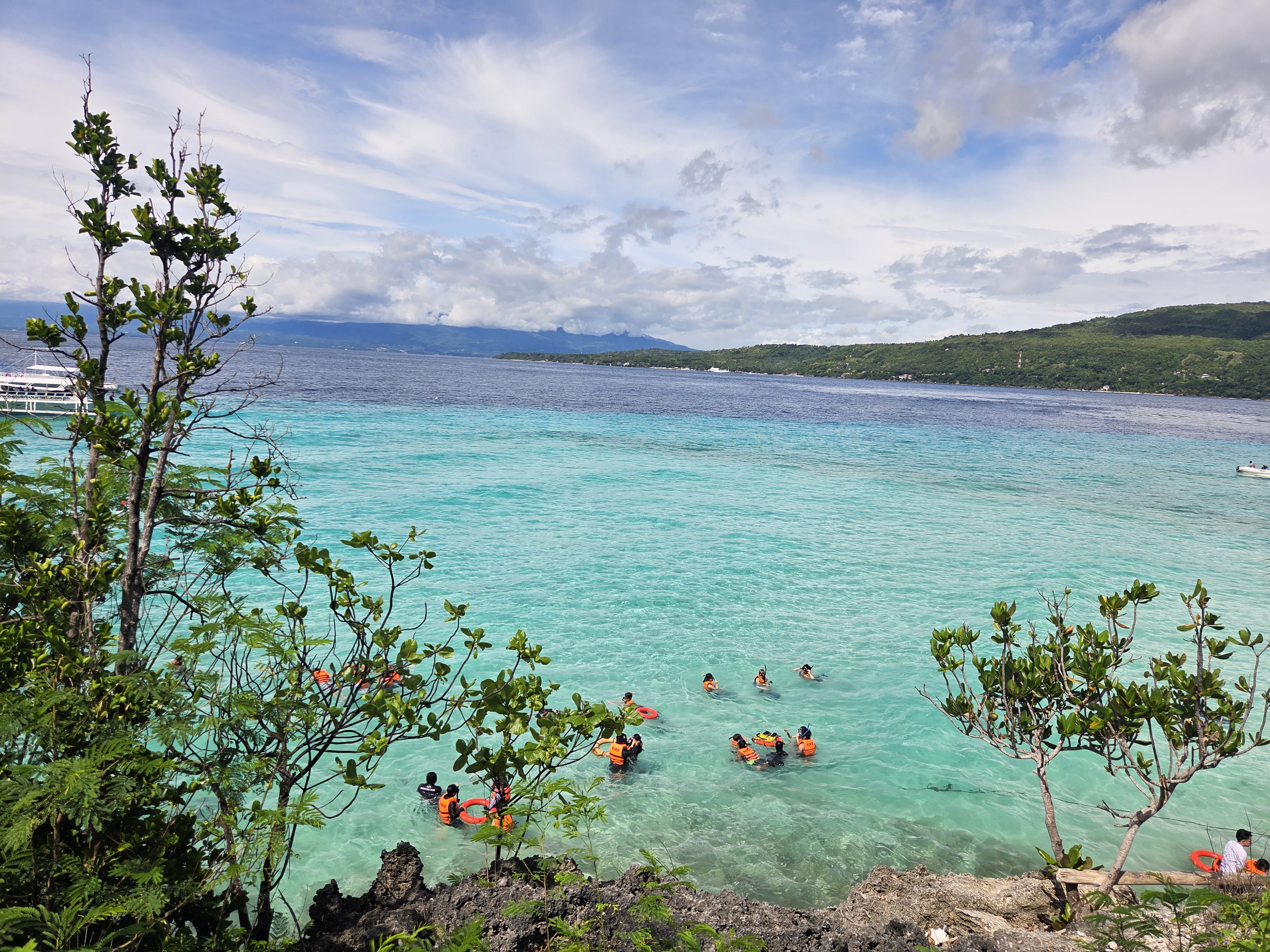 Guest photo — whale shark snorkeling at Oslob, Cebu