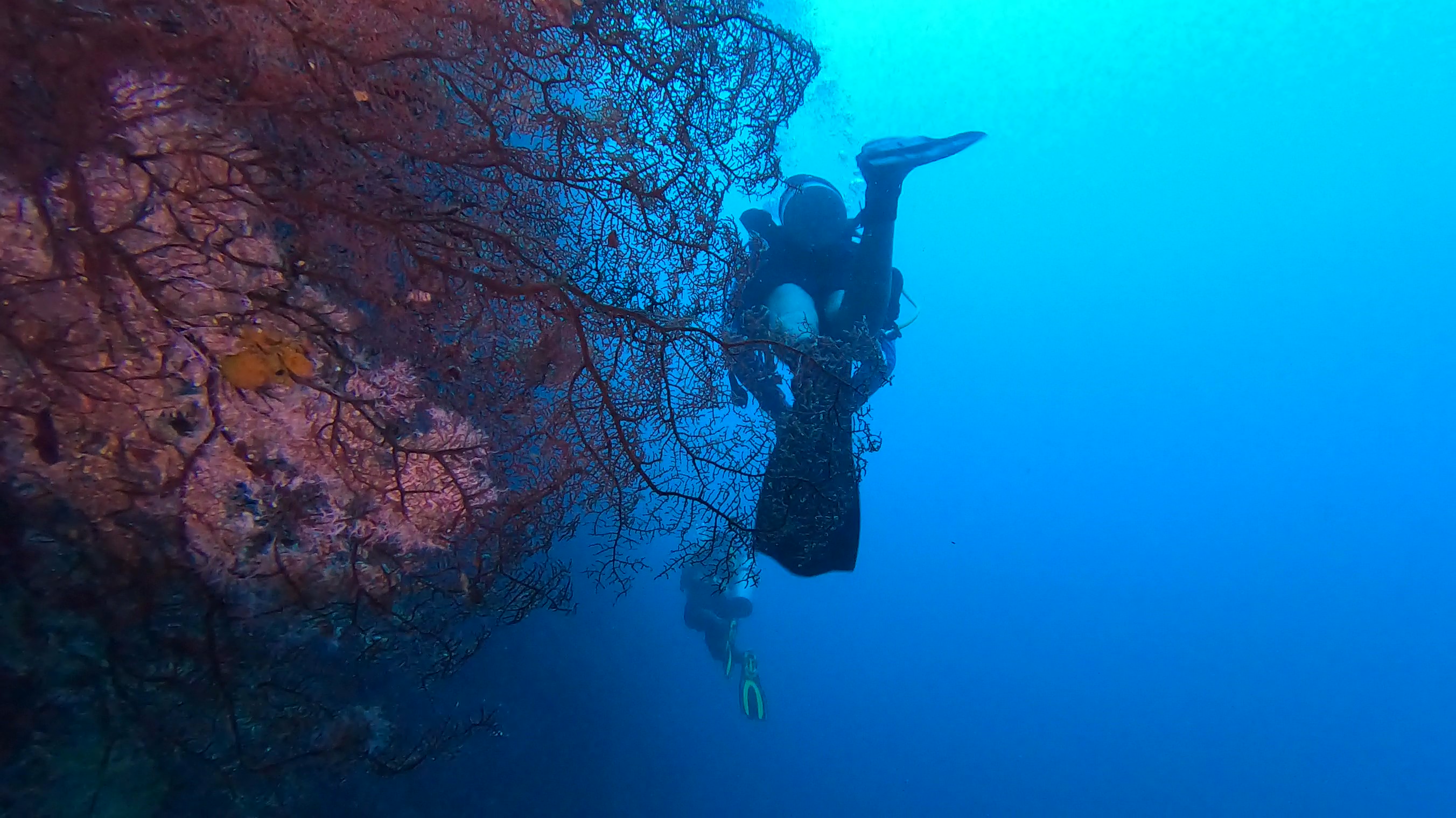 Guest photo — scuba diving tour from Cebu