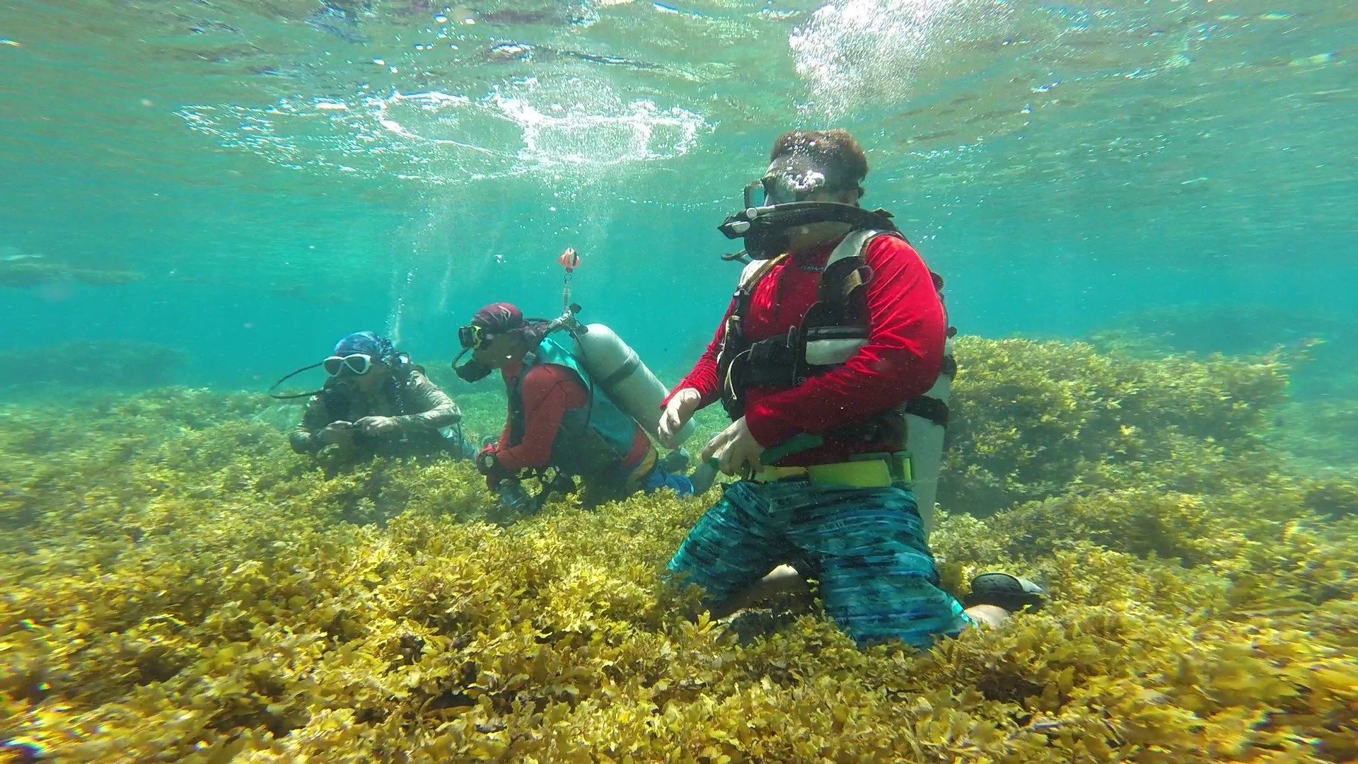 Guest photo — scuba diving tour from Cebu