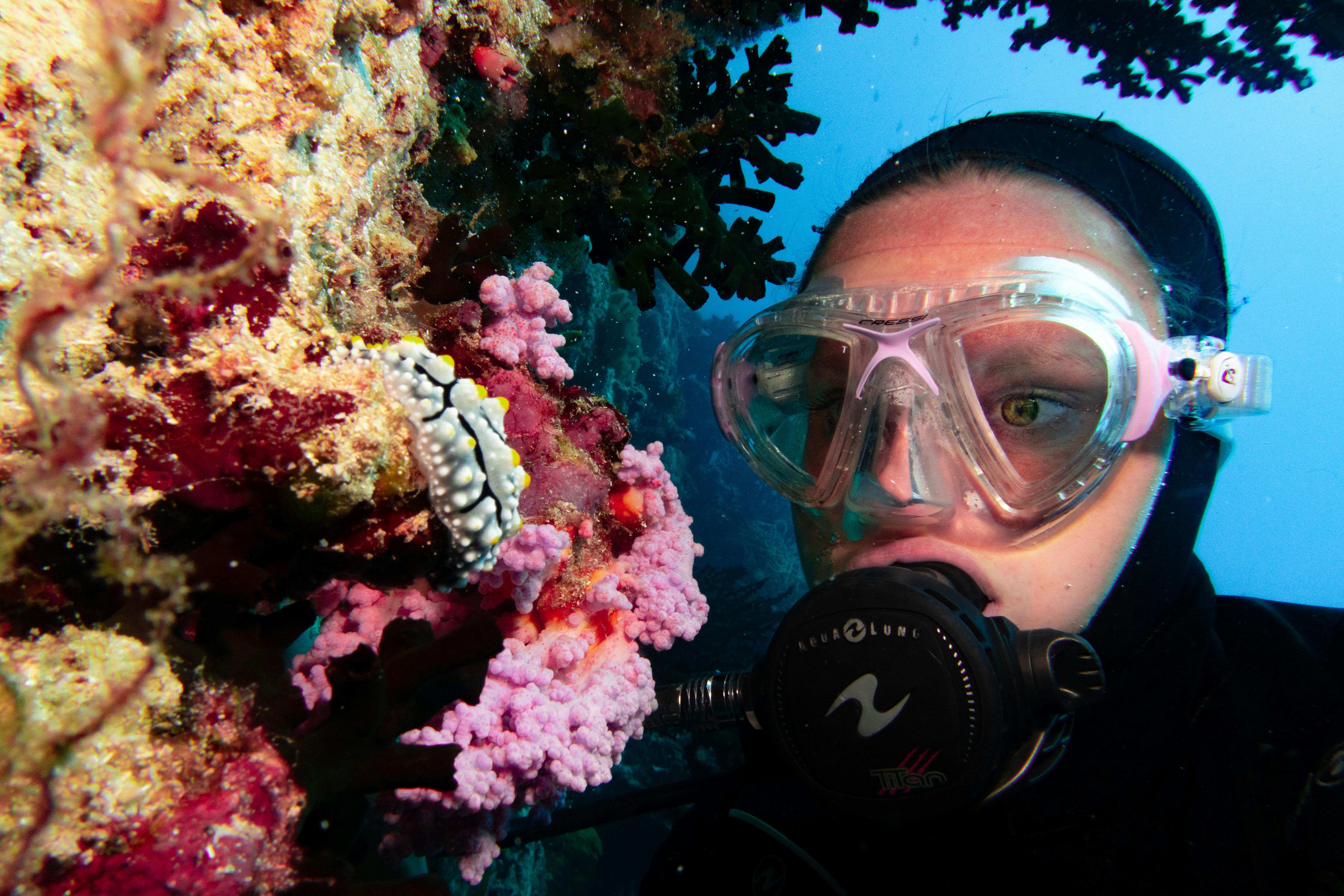 Real guest photo &mdash; Siquijor and Apo Island tour by Cebu OK Travel