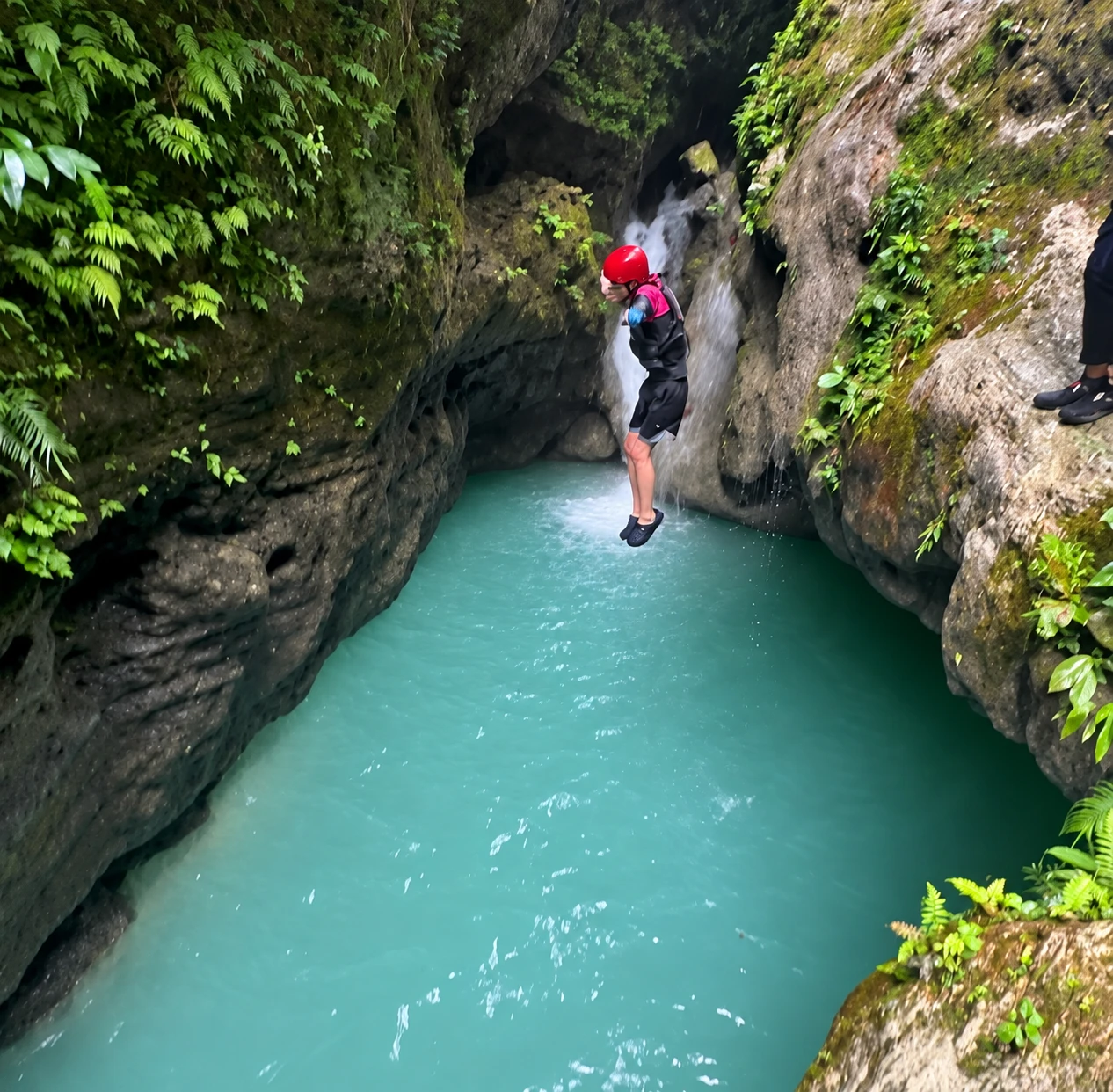 Whale Shark + Kawasan Canyoneering Private Tour
